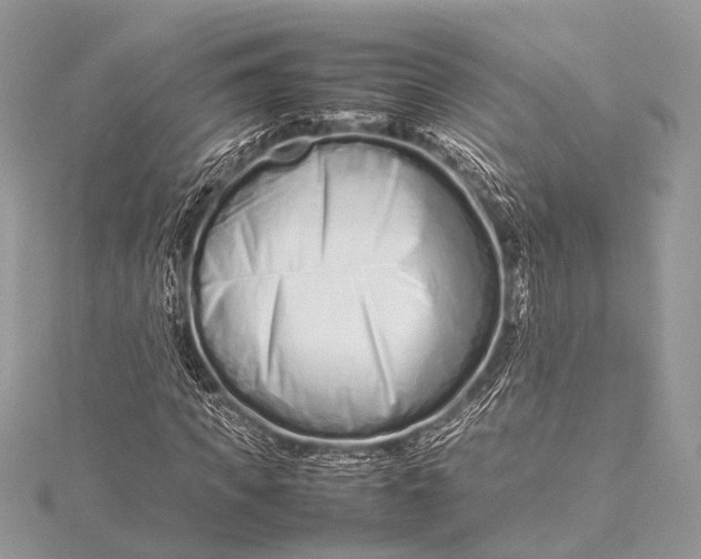 X0000115540917200911201736