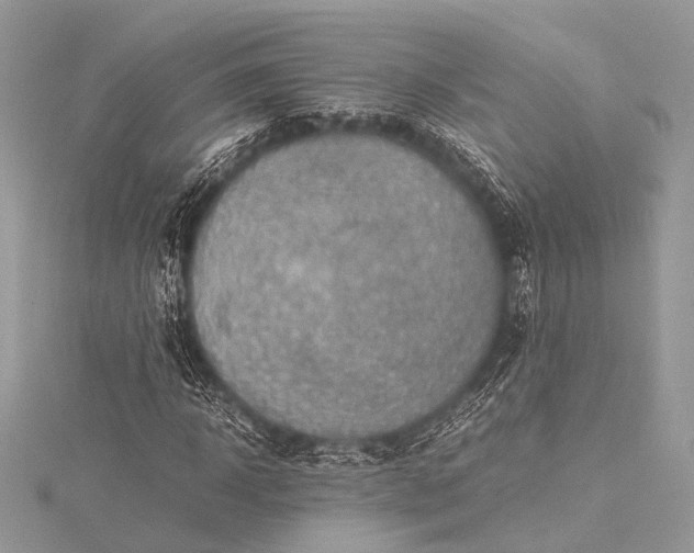 X0000115540918200911201736