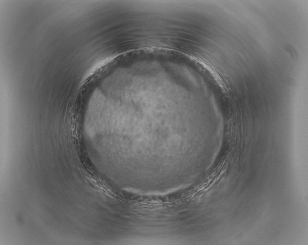 X0000115540919200911201736