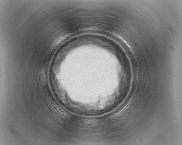 X0000115540921200911201736