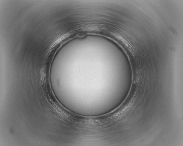 X0000115540922200911201736