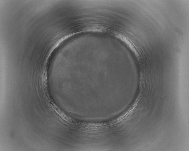 X0000115540923200911201736