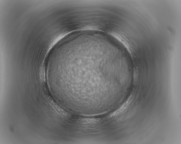 X0000115540925200911201736