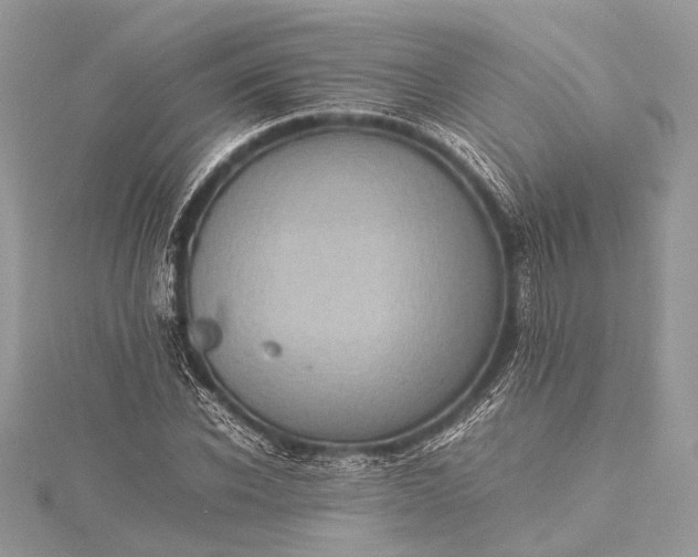 X0000115540926200911201736