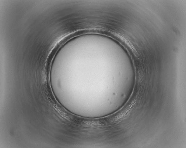 X0000115540927200911201737