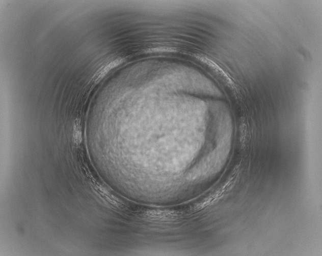 X0000115540929200911201737