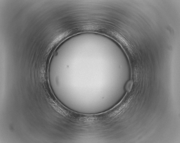 X0000115540930200911201737