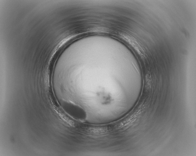 X0000115540931200911201737