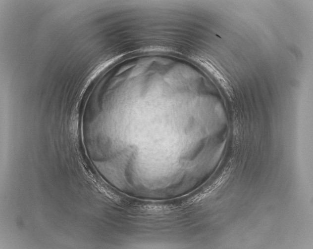 X0000115540933200911201737