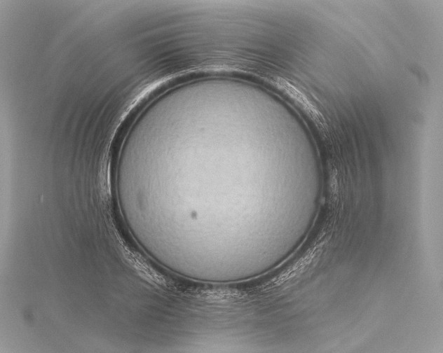 X0000115540934200911201737