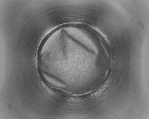 X0000115540935200911201737