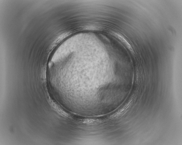 X0000115540938200911201737