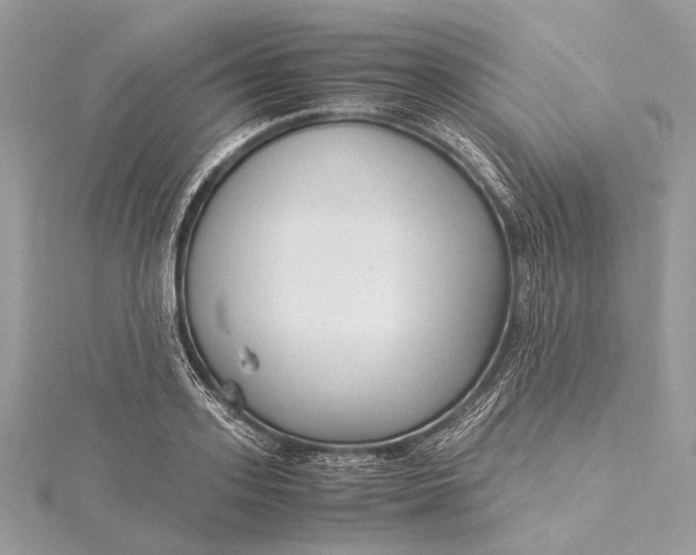 X0000115540939200911201737