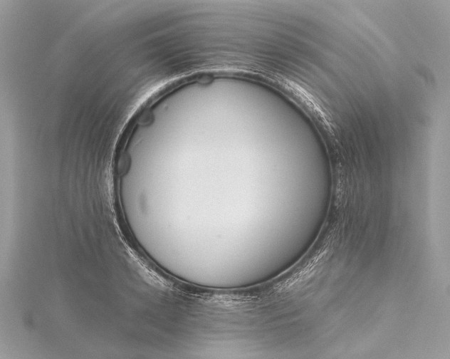 X0000115540942200911201737