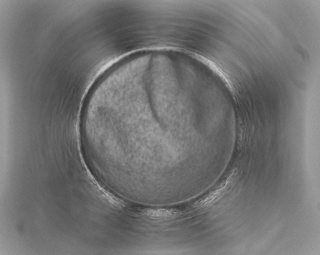 X0000115540943200911201737