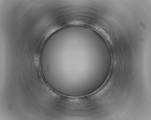 X0000115540945200911201737