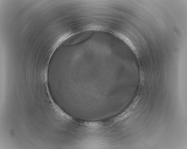 X0000115540946200911201737