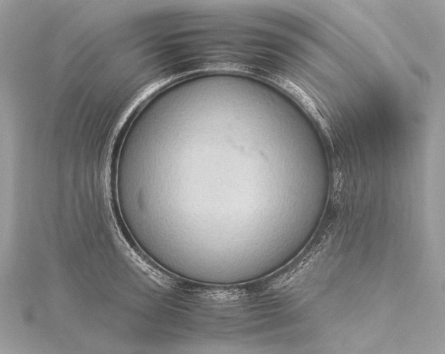 X0000115540947200911201737