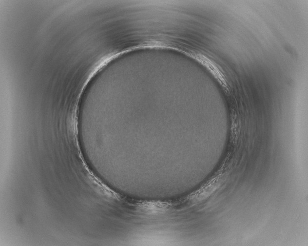 X0000115540950200911201737