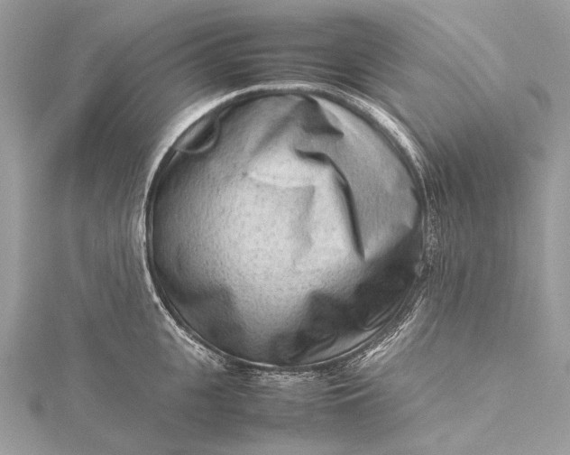 X0000115540951200911201737