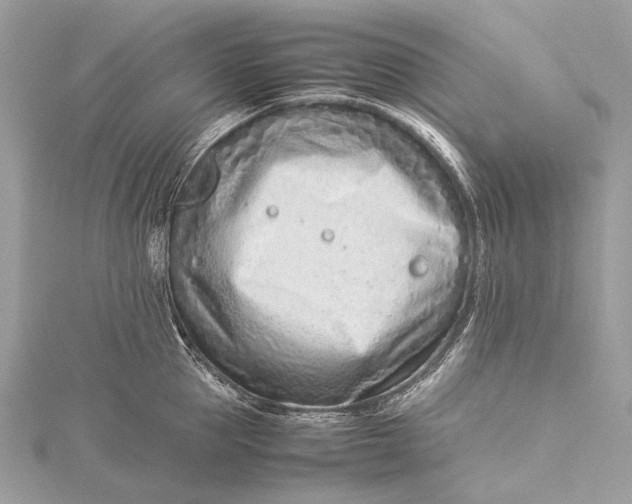 X0000115540953200911201737