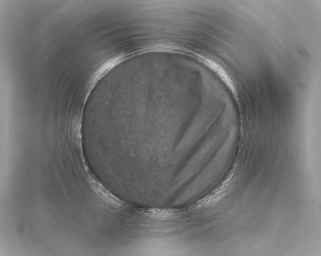 X0000115540954200911201737