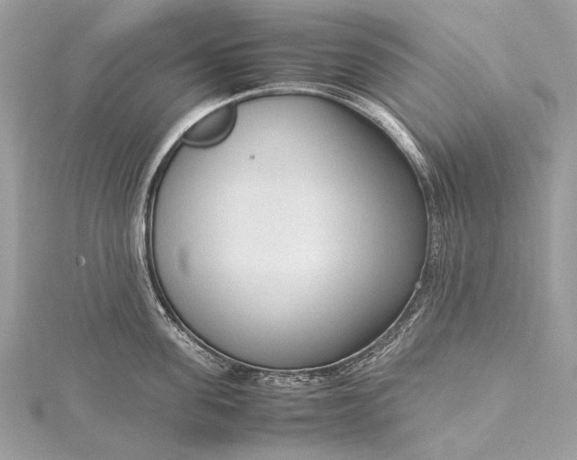 X0000115540955200911201737