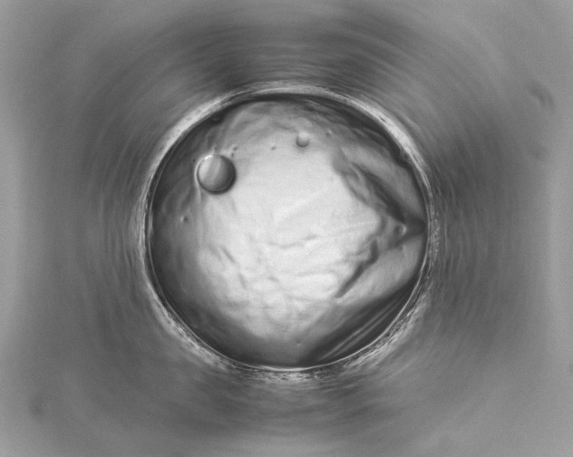 X0000115540957200911201737