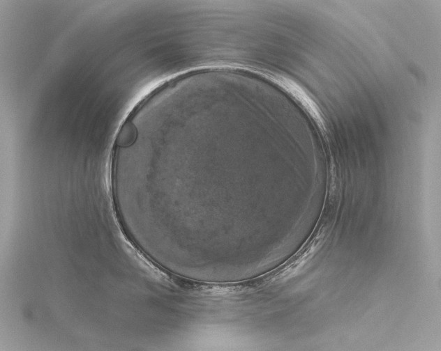 X0000115540958200911201737