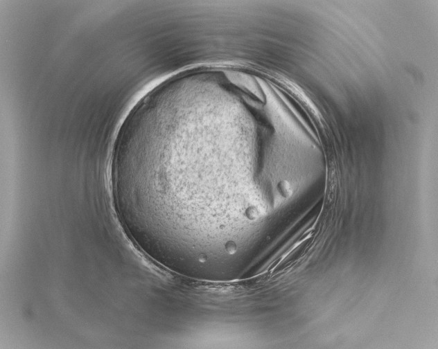 X0000115540959200911201737