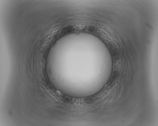 X0000115540961200911201736