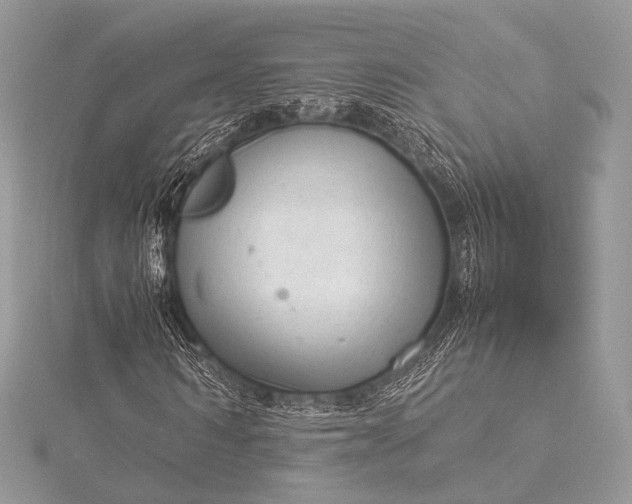 X0000115540962200911201736