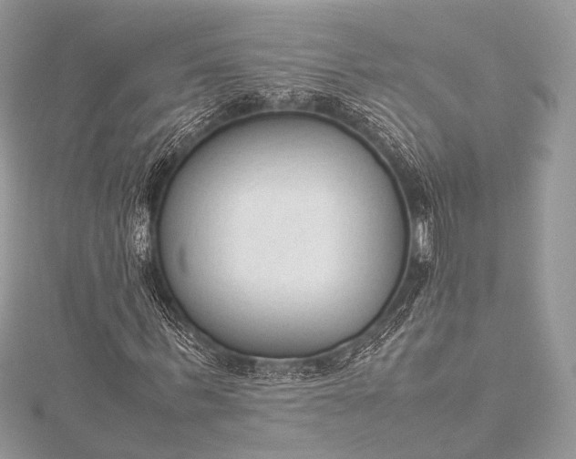 X0000115540963200911201736