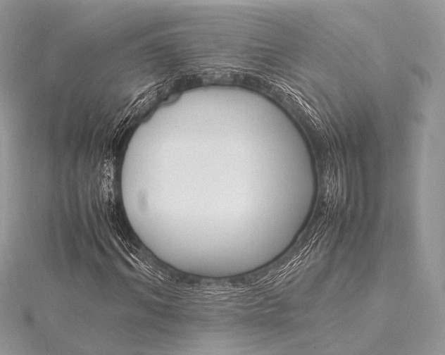 X0000115540964200911201736