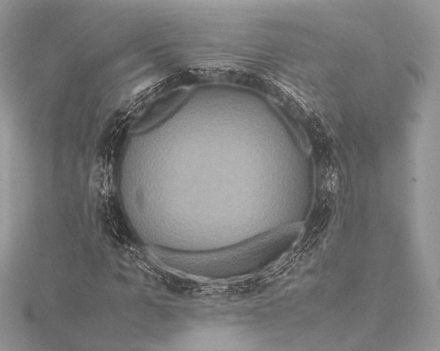 X0000115540965200911201736