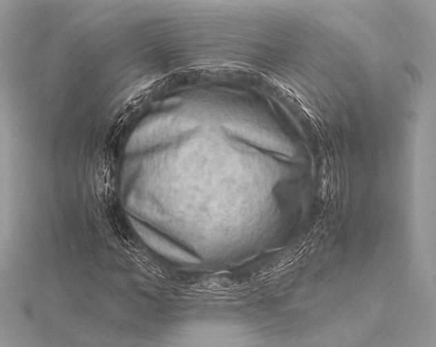 X0000115540966200911201736