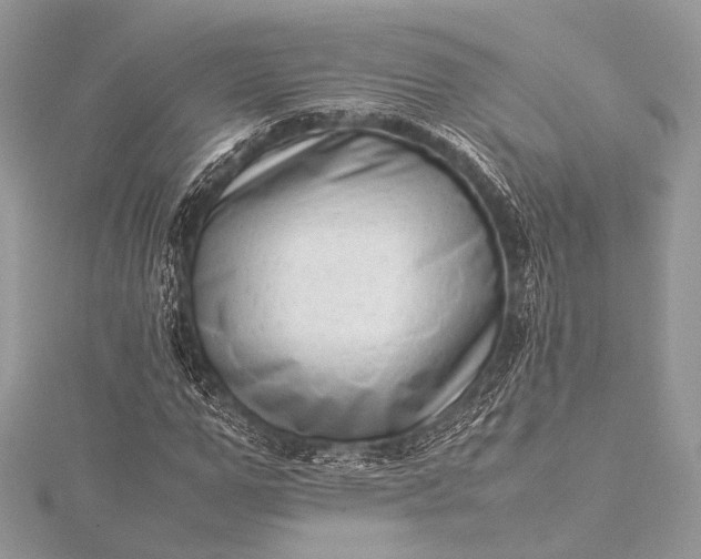 X0000115540967200911201736