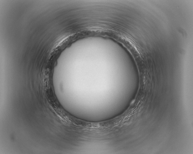 X0000115540968200911201736