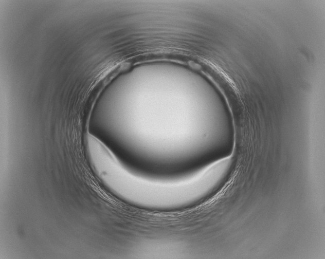 X0000115540969200911201736