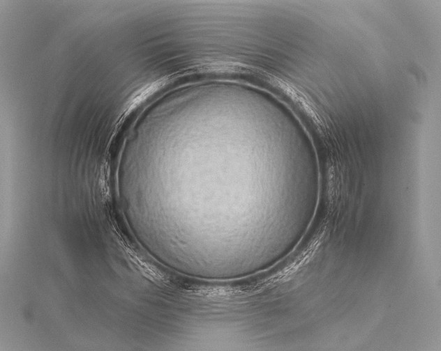 X0000115540970200911201736