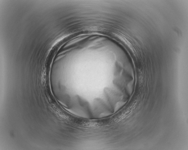 X0000115540971200911201736