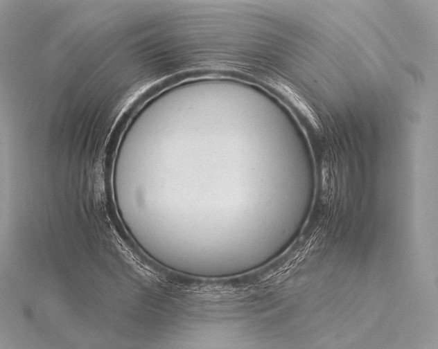 X0000115540972200911201736