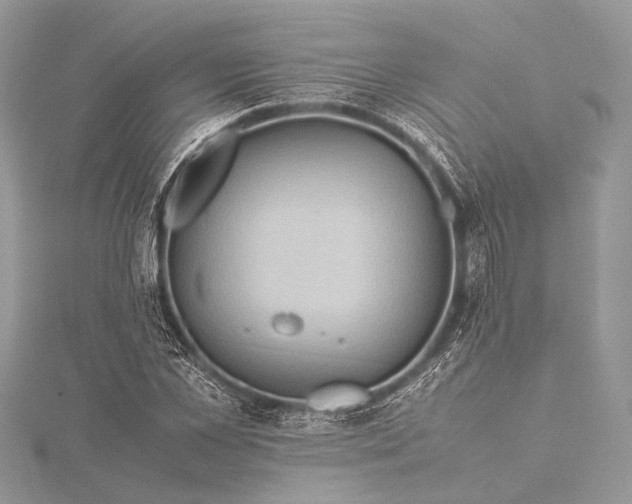 X0000115540973200911201736