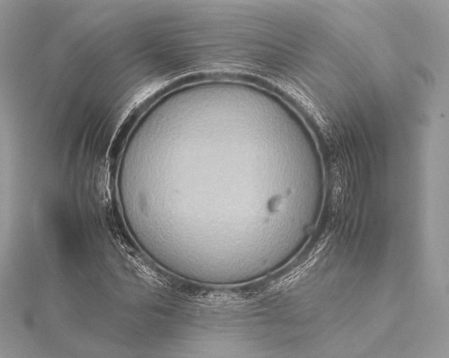 X0000115540974200911201736