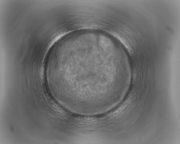 X0000115540975200911201736