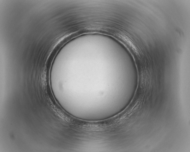 X0000115540976200911201736