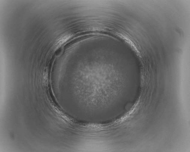 X0000115540977200911201736