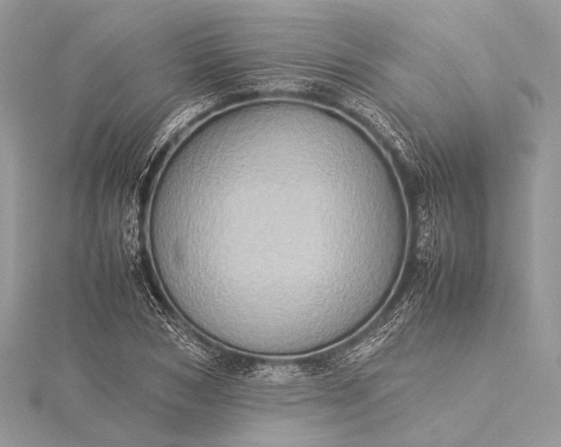 X0000115540978200911201736