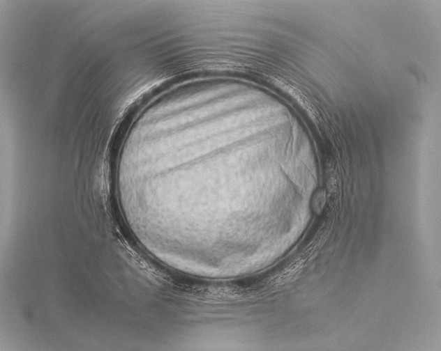 X0000115540979200911201736