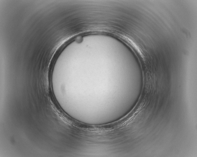 X0000115540980200911201736